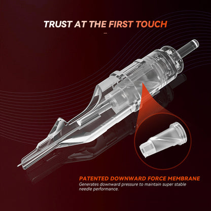 Aiguilles de tatouage T&amp;T MAX à pointe longue et plate (10 pièces/boîte) 